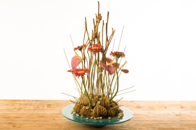 Gerbera and Anthurium arrangement