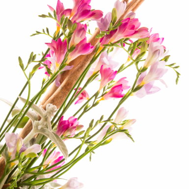 Freesia Design by Nelleke Bontje