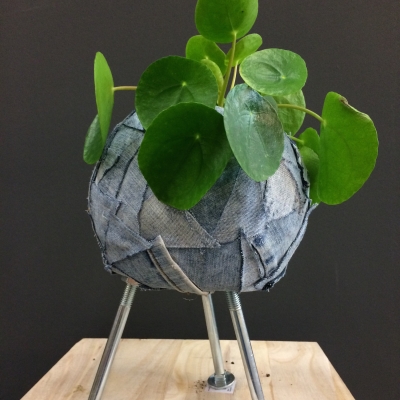 Denim Drift plant design - Fun