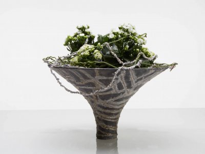 White Kalanchoë design