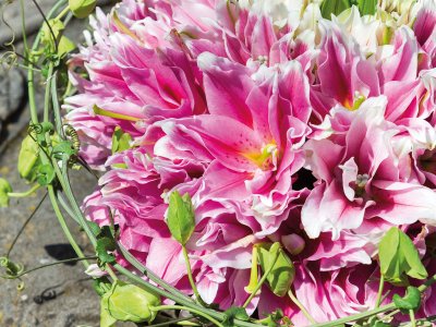 Lilium funeral arrangement