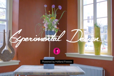 Experimental design by Iris van Werkhoven