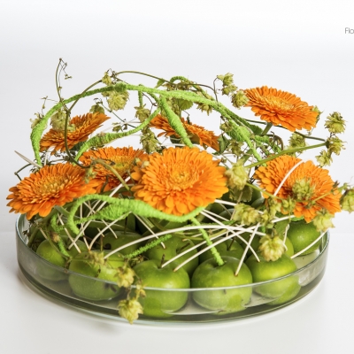 Gerbera and apple arrangement