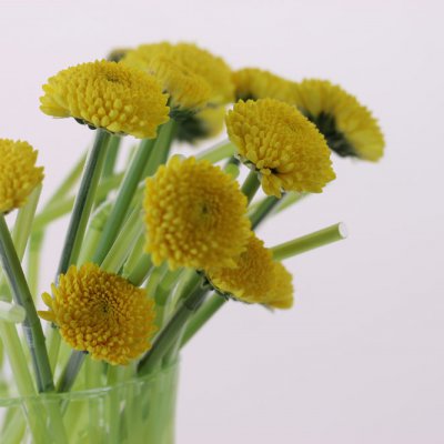 Yellow is for happiness and fun