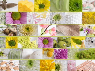 Zentoo mood board for spring 