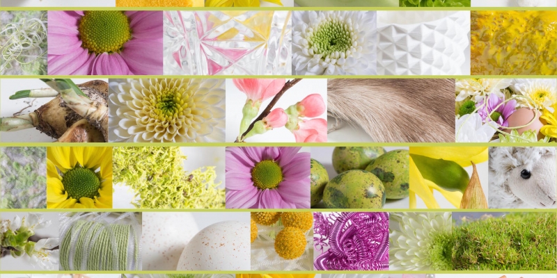 Zentoo mood board for spring 