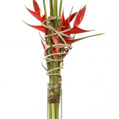 Heliconia bouquet wrapped in flatcane 