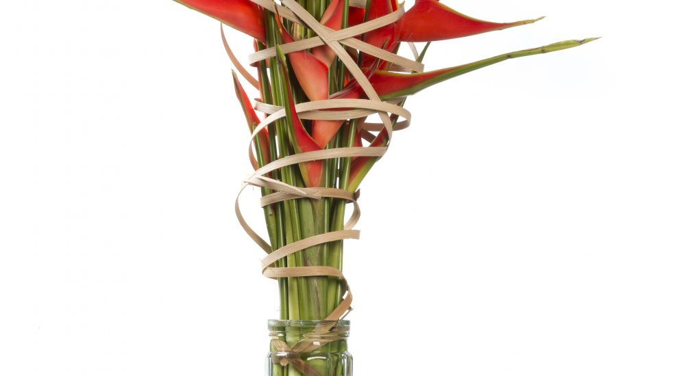 boeket mono wikkel secretaresse zomer MDK Heleconia