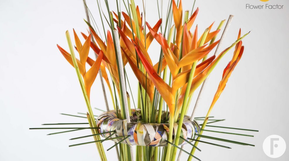 heleconia MDK bouget sticking graduation summerfeeling