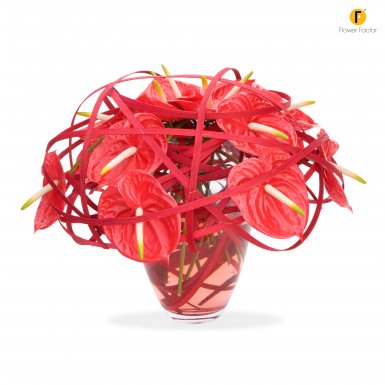 a Striking Anthurium Bouquet