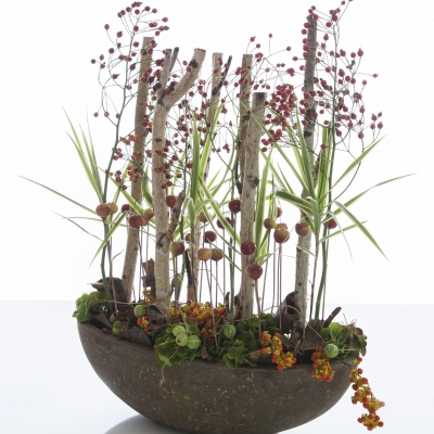 Berries, berries, berries