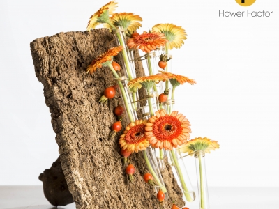 Autumn design with bark and Gerbera