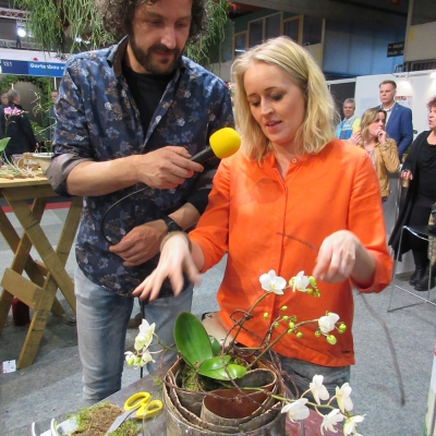 Arrangement by Geertje Stienstra