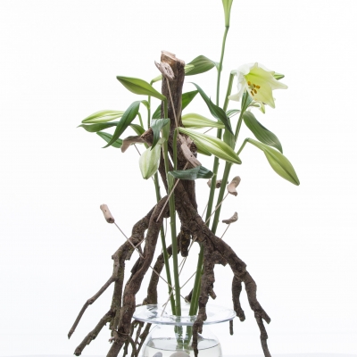 Branches and lilies