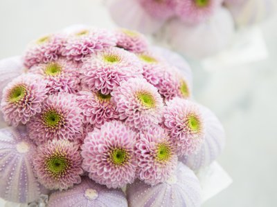 Small bouquets with Chrysanthemums 'Doria Pink' - close