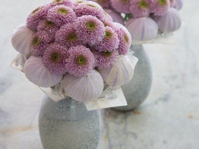 Small bouquets with Chrysanthemums 'Doria Pink'
