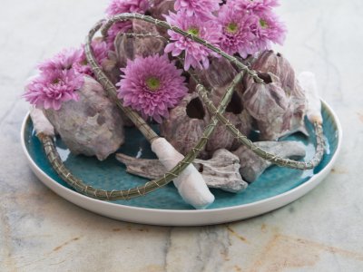 Floral composition with Chrysanthemum ' Romance'