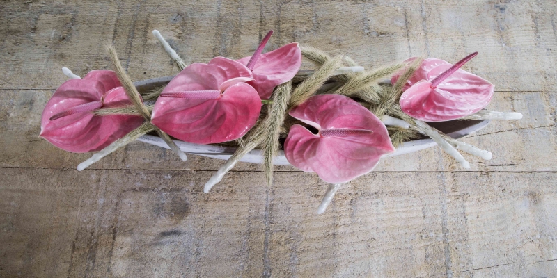Strong flower arrangement to enjoy for a long time 