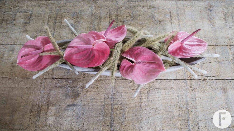 fiore 943 kopie jpeg