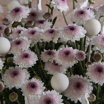 Polka Dots this Christmas - Close up
