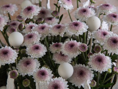 Polka Dots this Christmas - Close up