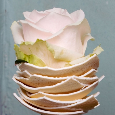 Decorative and simple with eggs