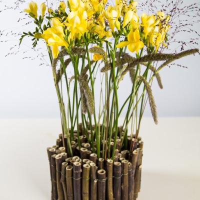 Freesia's winded in bamboo 