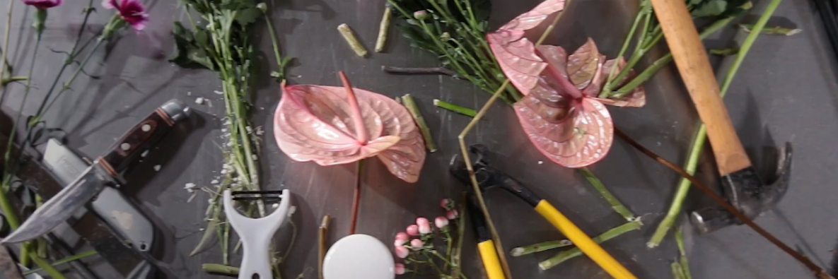 You can cut the crap  You can cut the crap