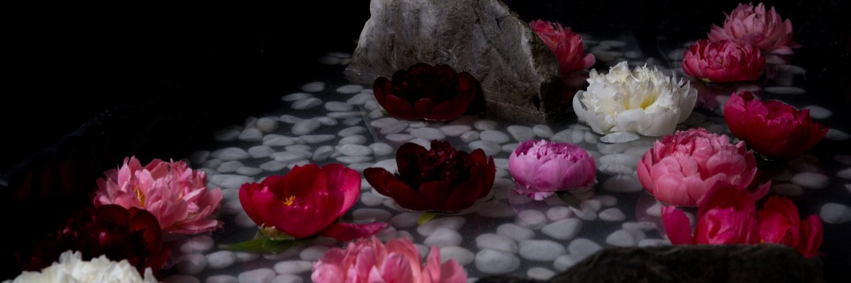 Nature's Luxury: Peony Mix