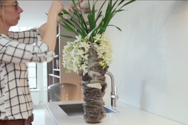 Even a natural beauty loves to dress up