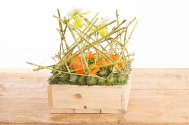 Seasonal arrangement: fall