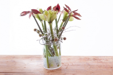 Amaryllis vase design