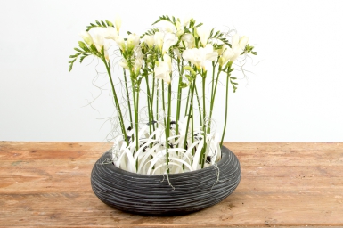 Black and white Freesia design