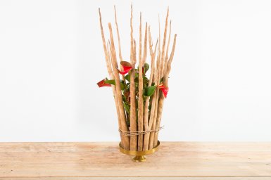 Robust Anthurium design