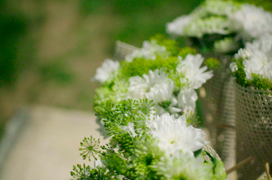 a Chrysanthemum wrap bouquet
