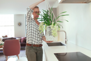 Cascade Cymbidium in DIY hanging planter