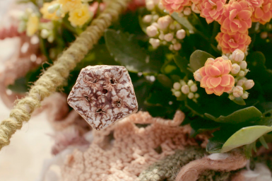 a Colourful Kalanchoë design