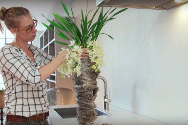 Cascade Cymbidium plant arrangement