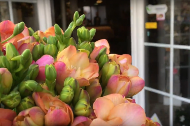 #FreestyleFreesia by Dutch florist Nelleke Bontje