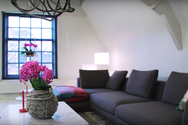 A creative colour boost with orchids