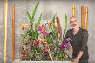 Klaus Wagener's Secret Orchid Garden