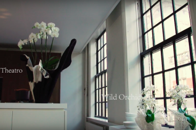 Not just white... but stunning whites!