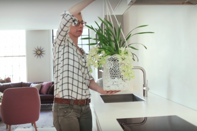 Cascade Cymbidium in DIY hanging planter