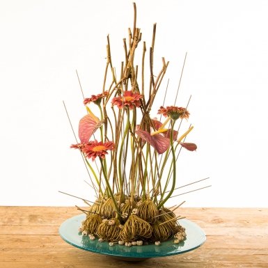 Gerbera and Anthurium arrangement
