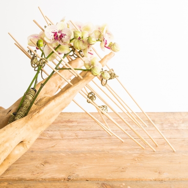 Elegant orchid design