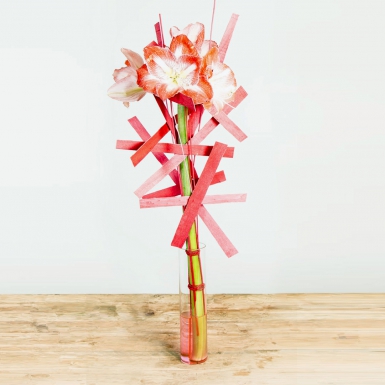 Single flower presentation