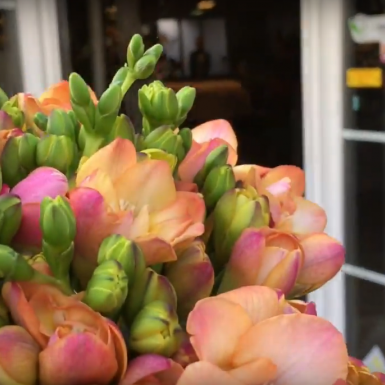 #FreestyleFreesia by Dutch florist Nelleke Bontje