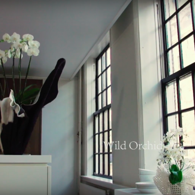 Not just white... but stunning whites!