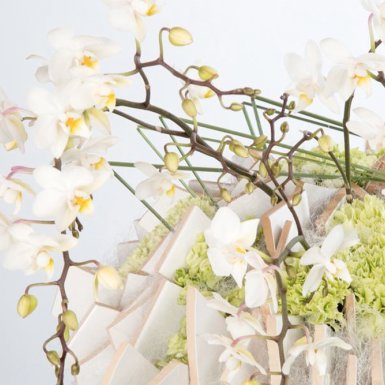 Spring design by David Ragg