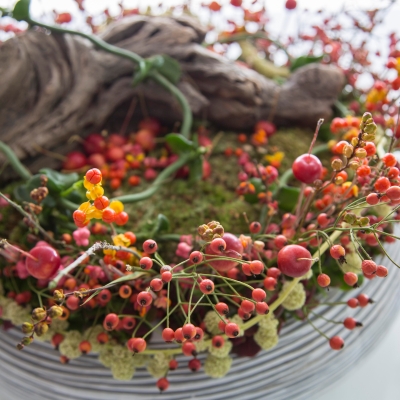 Miniature Garden Design - close up